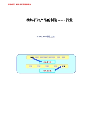 精炼石油产品行业报告2004