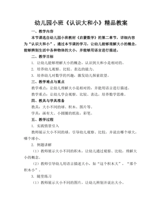 幼儿园小班《认识大和小》精品教案