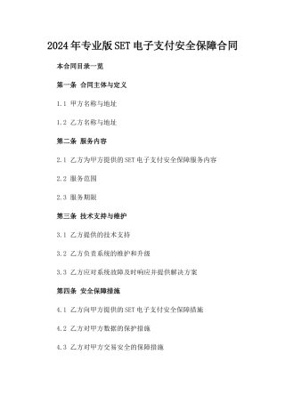 2024年专业版SET电子支付安全保障合同