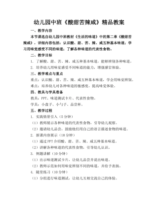 幼儿园中班《酸甜苦辣咸》精品教案