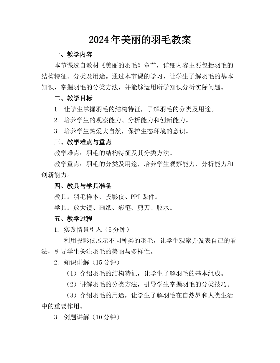 2024年美丽的羽毛教案_第1页