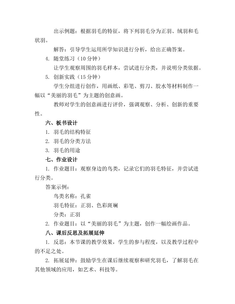 2024年美丽的羽毛教案_第2页