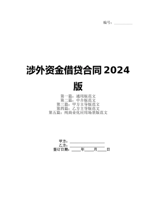 涉外资金借贷合同2024版