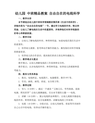 幼儿园 中班精品教案 自由自在的电线科学