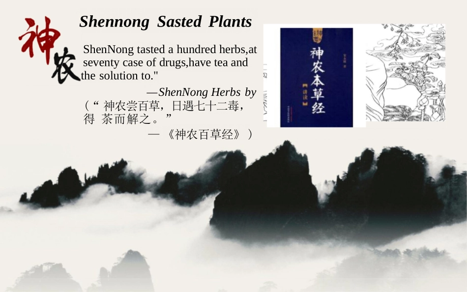 Chinese Tea Culture英文茶道模板_第3页