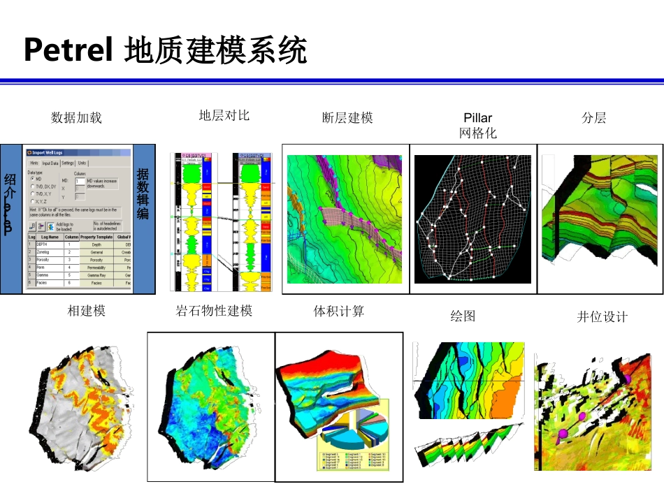 petrel操作指南精讲课件_第2页