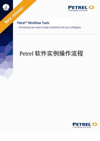Petrel中文操作手册