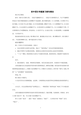 初中语文专题复习 病句修改