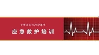 心肺复苏与AED作应急救护培训教程(演示版)