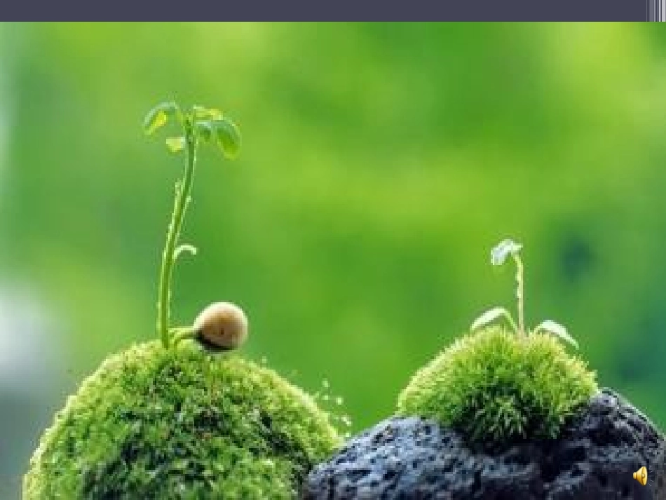 防溺水安全教育课件_第2页