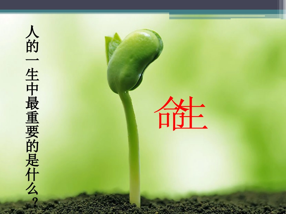 防溺水安全教育课件_第3页