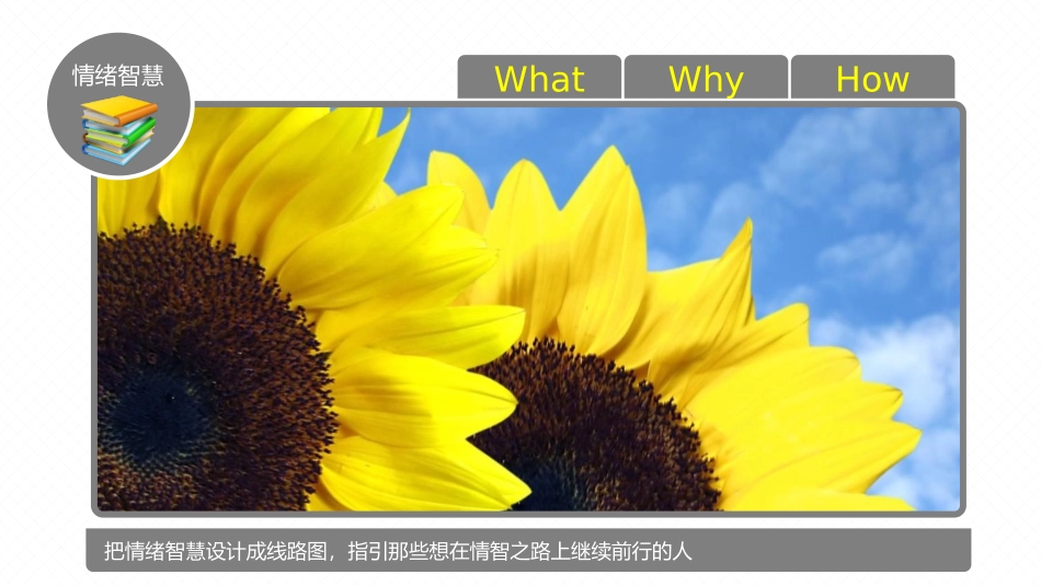 【情绪压力管理】情绪压力管理课件九_第3页