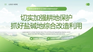 抓好盐碱地综合改造利用