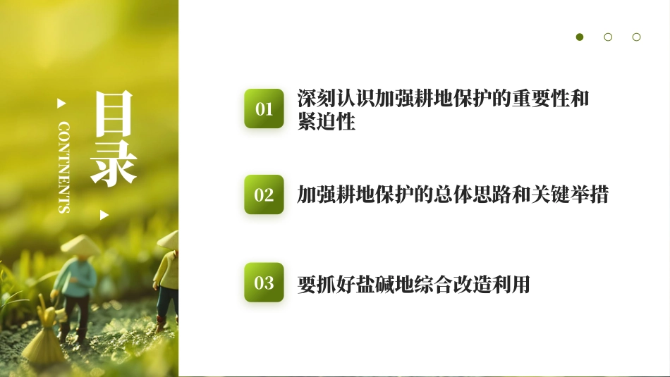 切实加强耕地保护抓好盐碱地综合改造利用_第2页