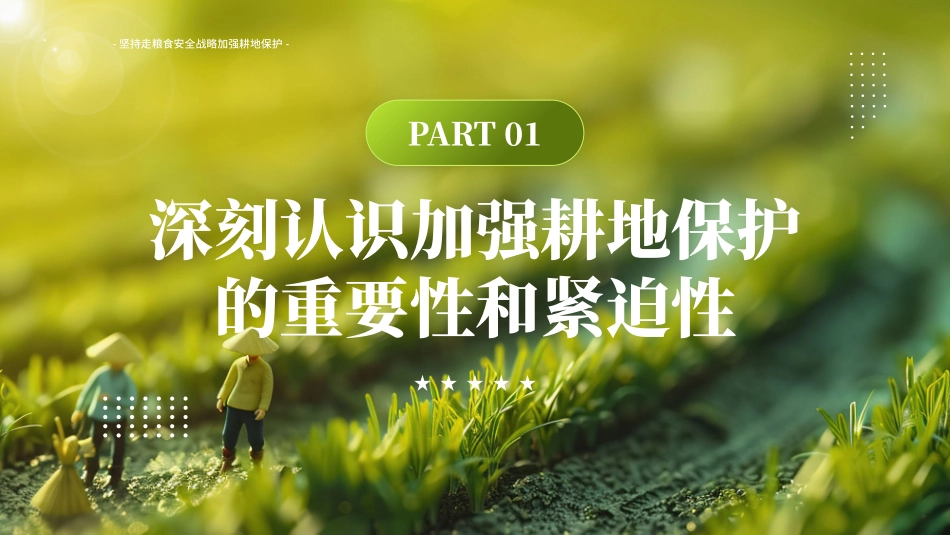 切实加强耕地保护抓好盐碱地综合改造利用_第3页
