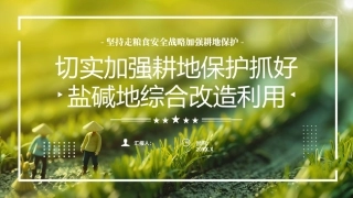 切实加强耕地保护抓好盐碱地综合改造利用