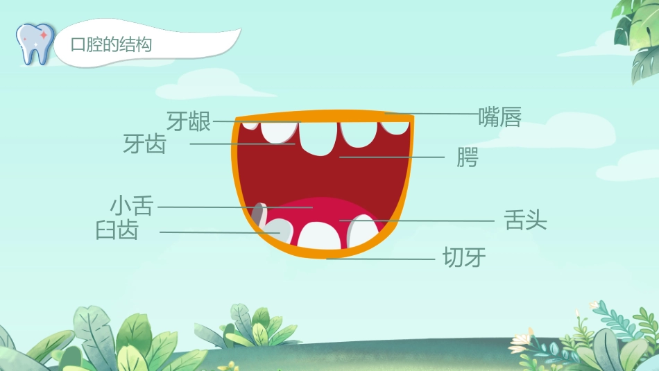 爱护牙齿--健康活动课件_第3页