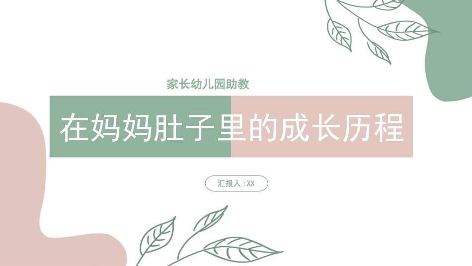 在妈妈肚子里的成长历程_第1页