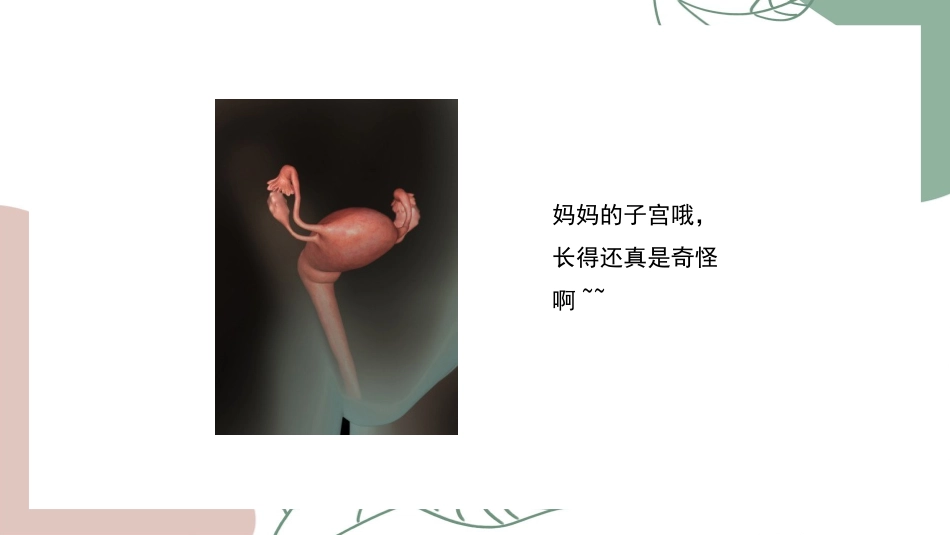 在妈妈肚子里的成长历程_第2页