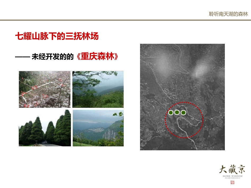 重庆丰都南天湖旅游地产开发策划_第3页
