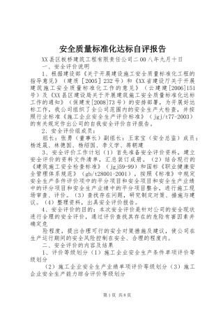 安全质量标准化达标自评报告