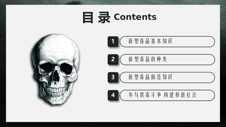 国际禁毒日课件_第3页