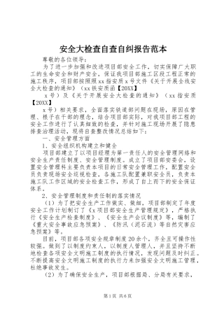 安全大检查自查自纠报告范本