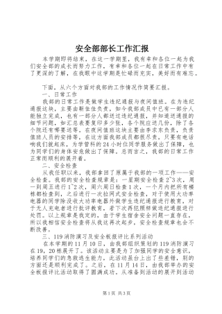 安全部部长工作汇报