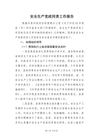 安全生产党政同责工作报告