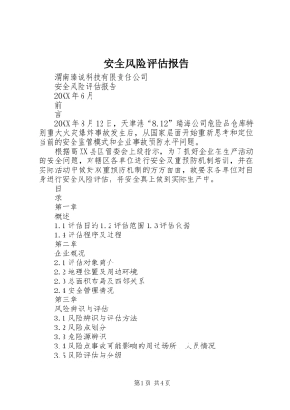 安全风险评估报告