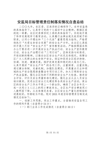 安监局目标管理责任制落实情况自查总结