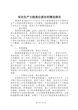 安全生产大检查自查自纠情况报告