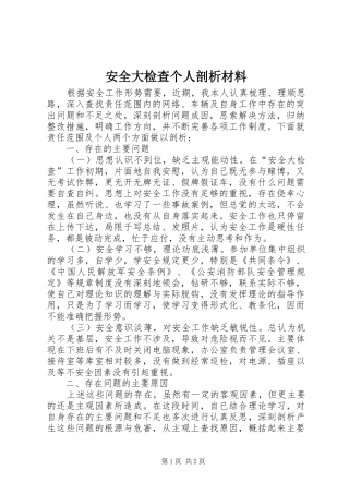 安全大检查个人剖析材料