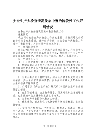 安全生产大检查情况及集中整治阶段性工作开展情况