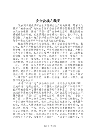 安全决战之我见