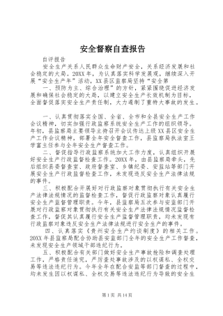 安全督察自查报告