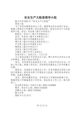 安全生产大检查领导小组