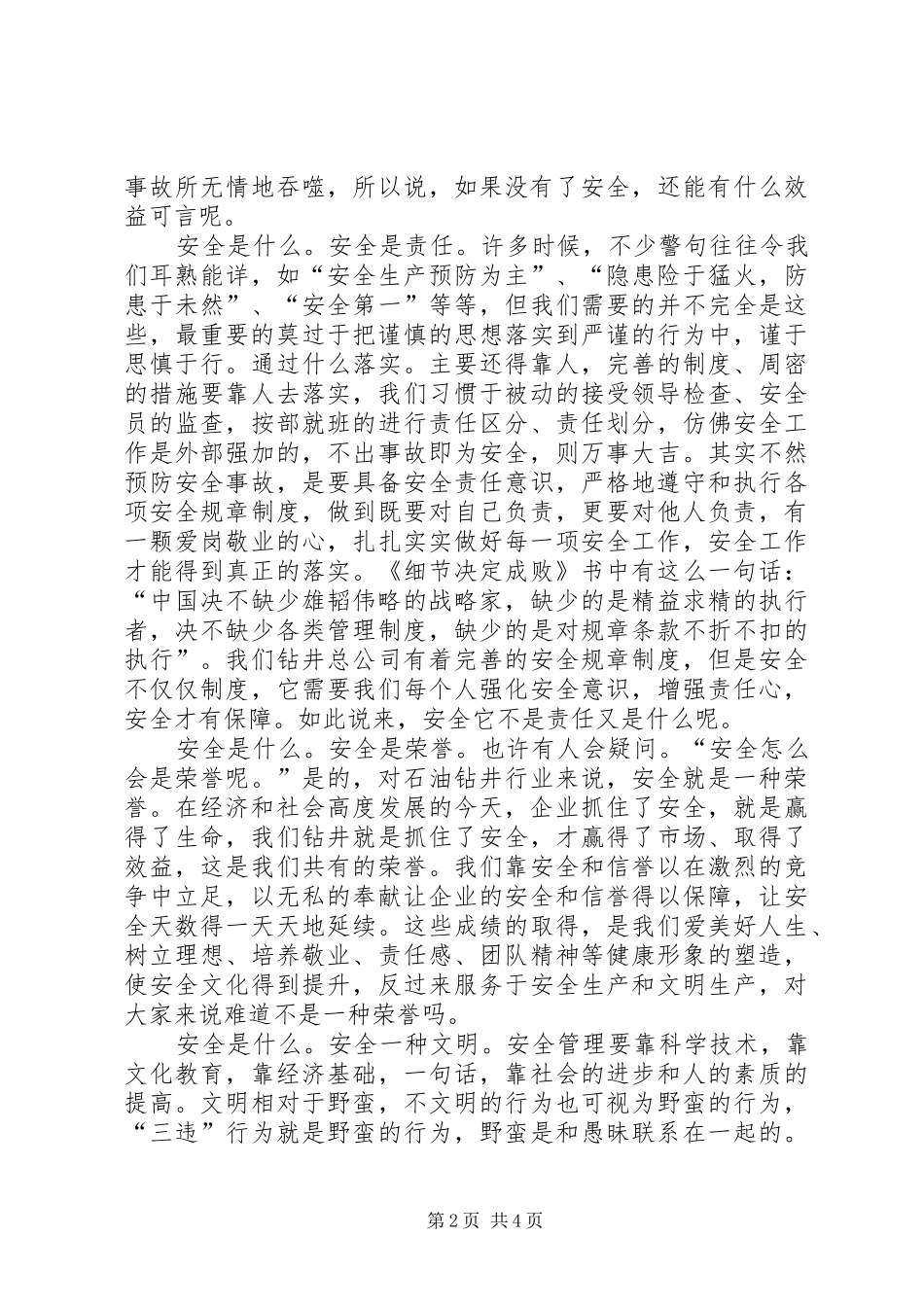 安全含义的诠释_第2页