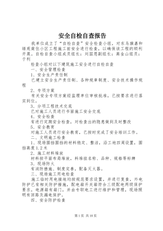 安全自检自查报告