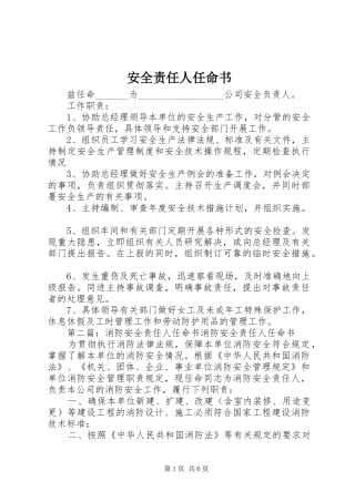 安全责任人任命书