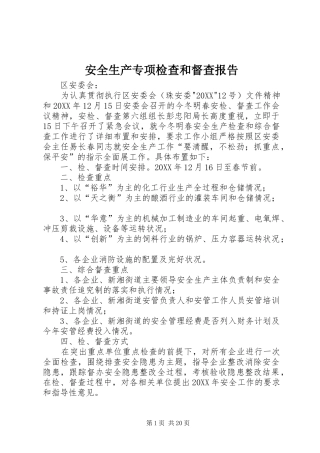 安全生产专项检查和督查报告