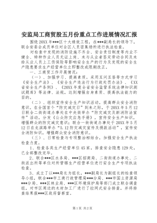 安监局工商贸股五月份重点工作进展情况汇报