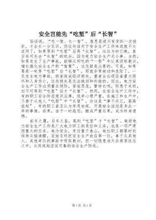 安全岂能先吃堑后长智