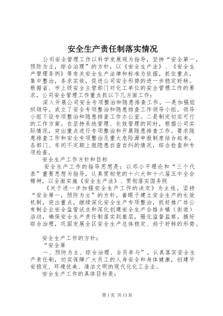 安全生产责任制落实情况