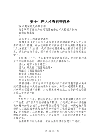 安全生产大检查自查自检