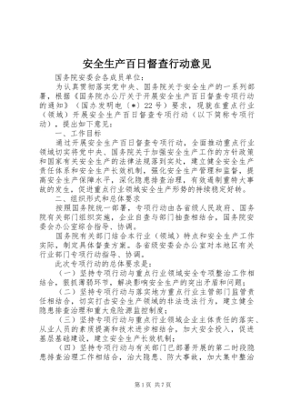安全生产百日督查行动意见