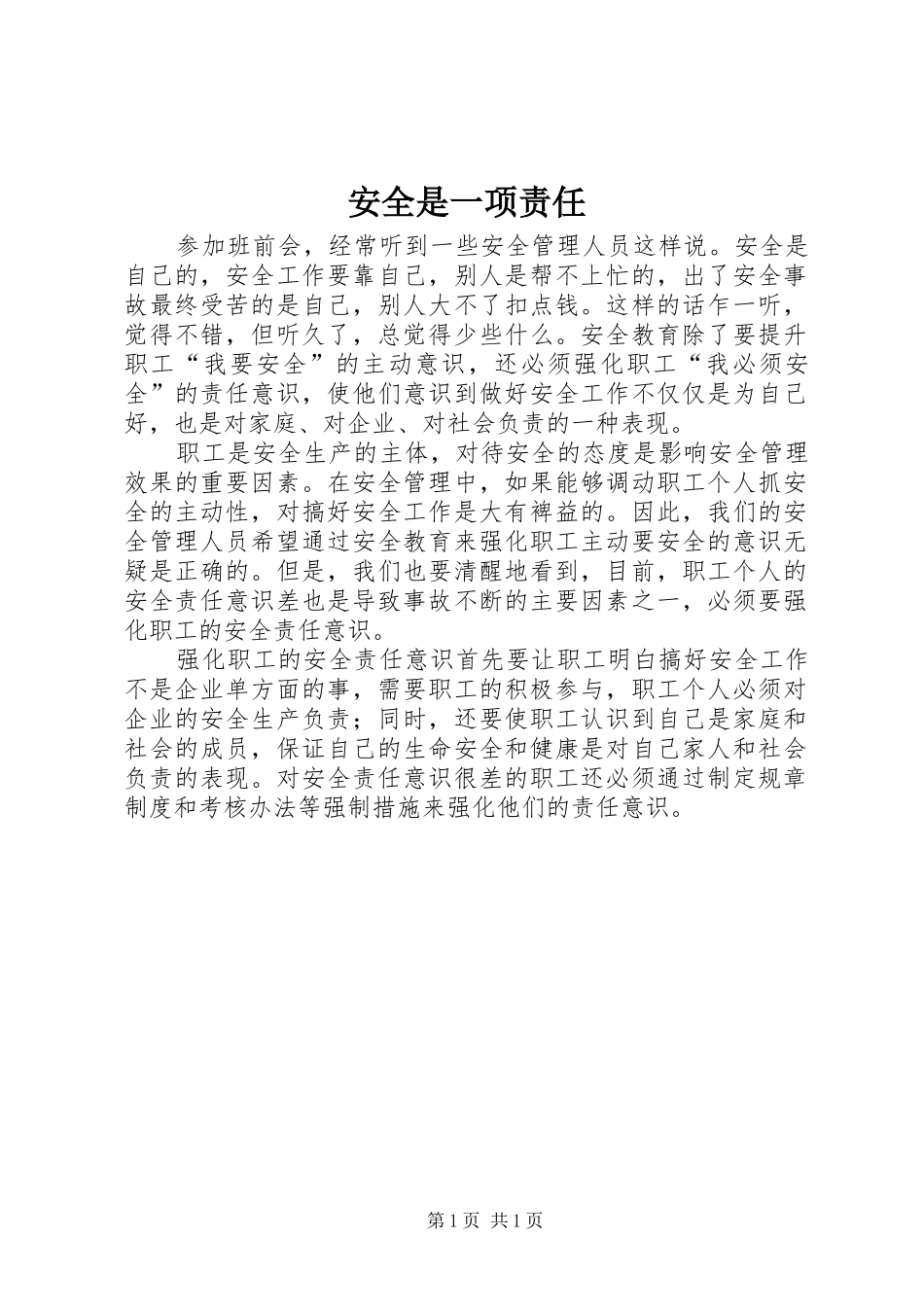 安全是一项责任_第1页