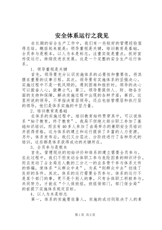 安全体系运行之我见
