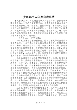安监局个人年度自我总结