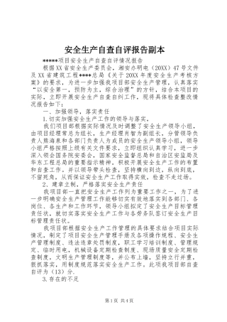 安全生产自查自评报告副本